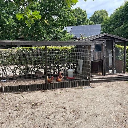 Completely Renovated Back Part Of A Farm Uden Exterior foto